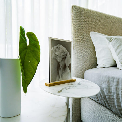 Bildaufsteller Leiste